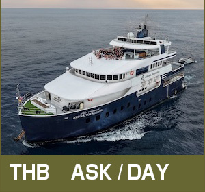 シミラン諸島〜リチェリューロック／ラグジュアリークルーズ／アルーナ