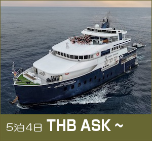 シミラン諸島〜リチェリューロック／ラグジュアリークルーズ／アルーナ