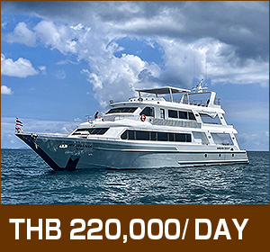 シミラン諸島〜リチェリューロック／デラックスクルーズ／マンダリンクイーン9