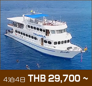 シミラン諸島〜リチェリューロック／デラックスクルーズ／パワラ