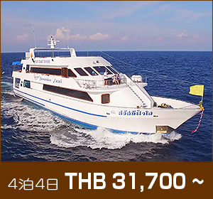 シミラン諸島〜リチェリューロック／デラックスクルーズ／サワディーファーサイ