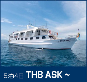 シミラン諸島〜リチェリューロック／スタンダードクルーズ／スクーバネット