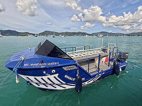 シミラン諸島〜ボン島／ダイブクルーズ／マンダリンクイーン９ #10