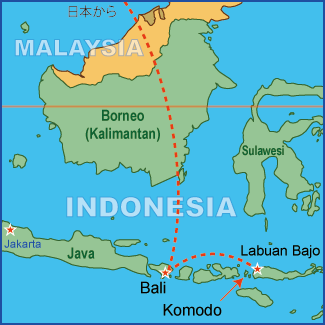 コモド諸島／世界遺産ダイブクルーズ／パヌニー