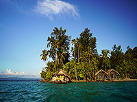 ラジャアンパット 島の写真 #3／奇跡の海ダイブクルーズ／パヌニー