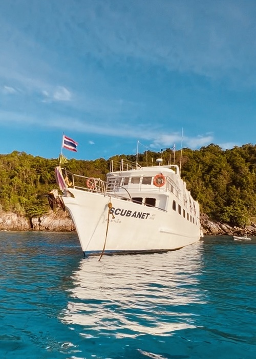 メインイメージ／スクーバネット／シミランクルーズ