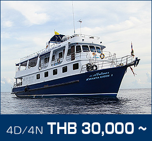 シミラン諸島〜リチェリューロック／デラックスクルーズ／マンタクイーン１