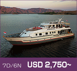 Raja Ampat/Special Trip/MV Panunee