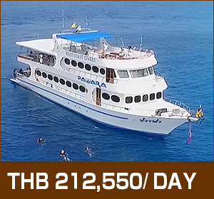 Similan Islands - Richelieu Rock/Deluxe/Pawara