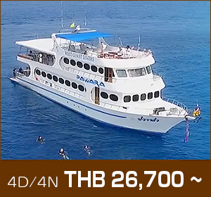 HOBO-YA SIMILAN/DIVE SAFARI/M/V PAWARA