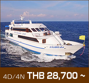 HOBO-YA SIMILAN/DIVE SAFARI /M/V SAWASDEE FASAI