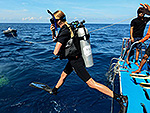 TOUR DETAILS/SIMILAN ISLAND - RICHELIEU ROCK DIVING SAFARI/MV KOON9 #5