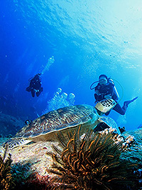 UNDERWATER IMAGE/SIMILAN ISLAND - RICHELIEU ROCK DIVING SAFARI/MV MANDARIN QUEEN9
