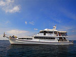 OPEN AIR DECK/HOBO-YA SIMILAN/DIVE SAFARI/M/V MANTA QUEEN6