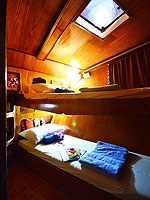 BUNK BED CABIN/HOBO-YA SIMILAN/DIVE SAFARI/M/V MANTA QUEEN6