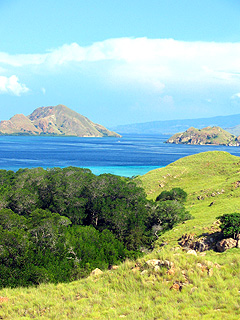 MAIN IMAGE1/HOBO-YA SIMILAN/DIVE SAFARI/SPECIAL TRIP/PANUNEE