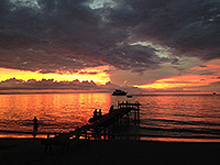 Image #17／Komodo／Special trip／MV Panunee