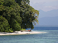 Image #18／Komodo／Special trip／MV Panunee