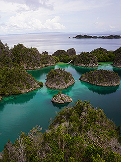 Main Iamage/Raja Ampat/Spaceial Trip/MV Panunee