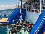DIVE DECK/HOBO-YA SIMILAN/DIVE SAFARI/M/V TAPANA CATAMARAN
