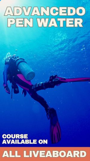 Advanced Open Water Banner