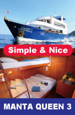 Manta Queen3 Banner