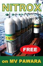 Nitrox SP Banner