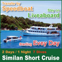 2days 1night liveaboard Triip / Similan Short Cruise/Banner