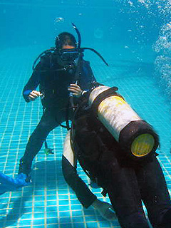 ほうぼう屋Similan／スクーバリビュー