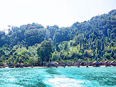 SURIN ISLANDS / 2D/1N SNORKELING / SEASTAR / SNORKELING / SURIN ISLANDS#2