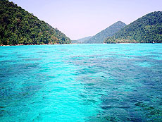 SURIN ISLANDS / 2D/1N SNORKELING / SEASTAR / SNORKELING / SURIN ISLANDS#3