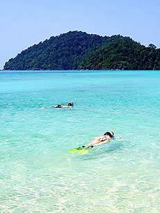 イメージ／スリン諸島／シースター 1泊2日スノーケリング（スノーケリング）／ツアーの詳細