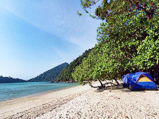 SURIN ISLANDS / 3D/2N SNORKELING / SEASTAR / SNORKELING / CAMP SITE#2