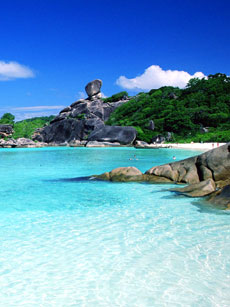 Similan（スミラン）諸島／シースター 日帰りスノーケリング（スノーケリング）