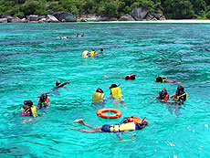 HOBO-YA SIMILAN／SIMILAN ISLANDS／DAY TRIP SNORKELING (SEASTAR)／SNORKELING #1