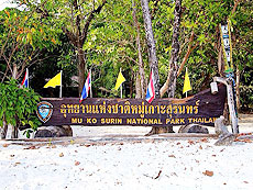 HOBO-YA SIMILAN／SURIN ISLANDS／DAY TRIP SNORKELING (SEASTAR）#5