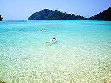 HOBO-YA SIMILAN／SURIN ISLANDS／DAY TRIP SNORKELING (SEASTAR）#15