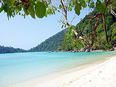 HOBO-YA SIMILAN／SURIN ISLANDS／DAY TRIP SNORKELING (SEASTAR）#16