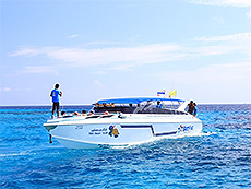 HOBO-YA SIMILAN／SURIN ISLANDS／DAY TRIP SNORKELING (SEASTAR）#15