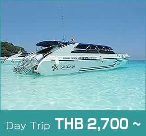 HOBO-YA SIMILAN/SEASTAR/SIMILAN/SNORKELING DAY TRIP