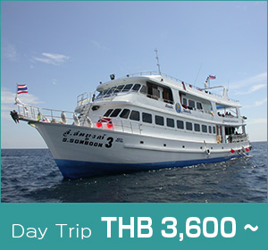HOBO-YA SIMILAN/SONBOON/SIMILAN-KOH BON/SNORKELING DAY TRIP