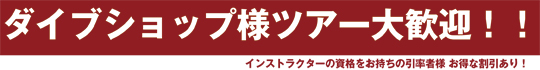 お知らせ＆キャンペーン情報！