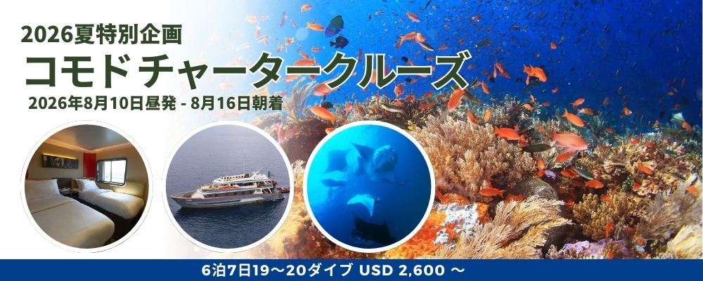 特別企画：コモドチャータークルーズ