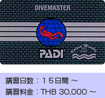 ほうぼう屋シミラン／ダイビングスキルアップ／PADI ダイブマスター コース