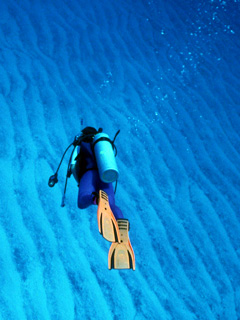 ほうぼう屋シミラン店／各種スペシャリティーコース