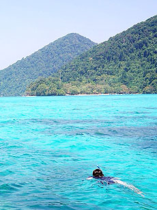 イメージ／スリン諸島／シースター 2泊3日シュノーケリング（スノーケリング）／ツアーの詳細