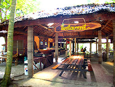 シミラン諸島／シースター シュノーケリング（スノーケリング）#12