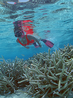 シミランイメージ／シミラン諸島日帰りシュノーケリング／ソンブーン３