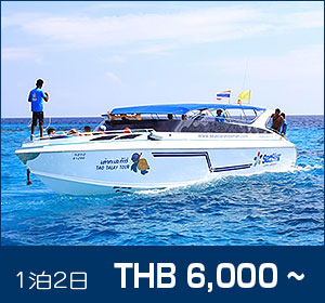 スリン諸島／シースター 1泊2日シュノーケリング（スノーケリング）