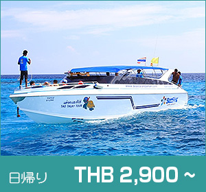 スリン諸島／シースター 日帰りシュノーケリング（スノーケリング）